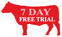 Free trial
