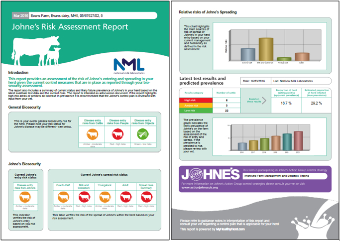 NML Report